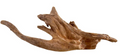 Kapas Root (medium)
