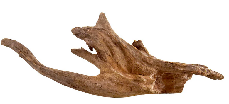 Kapas Root (medium)